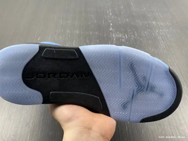 Rep LUCY 5 Jordan UNC DV1310-401 Air 0508